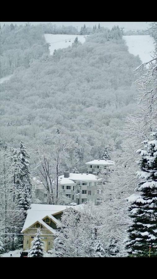 Ski-In, Ski-Out Chaleureux Studio Loft Au Pied Des Pistes De Ski Apartamento Stoneham Exterior foto